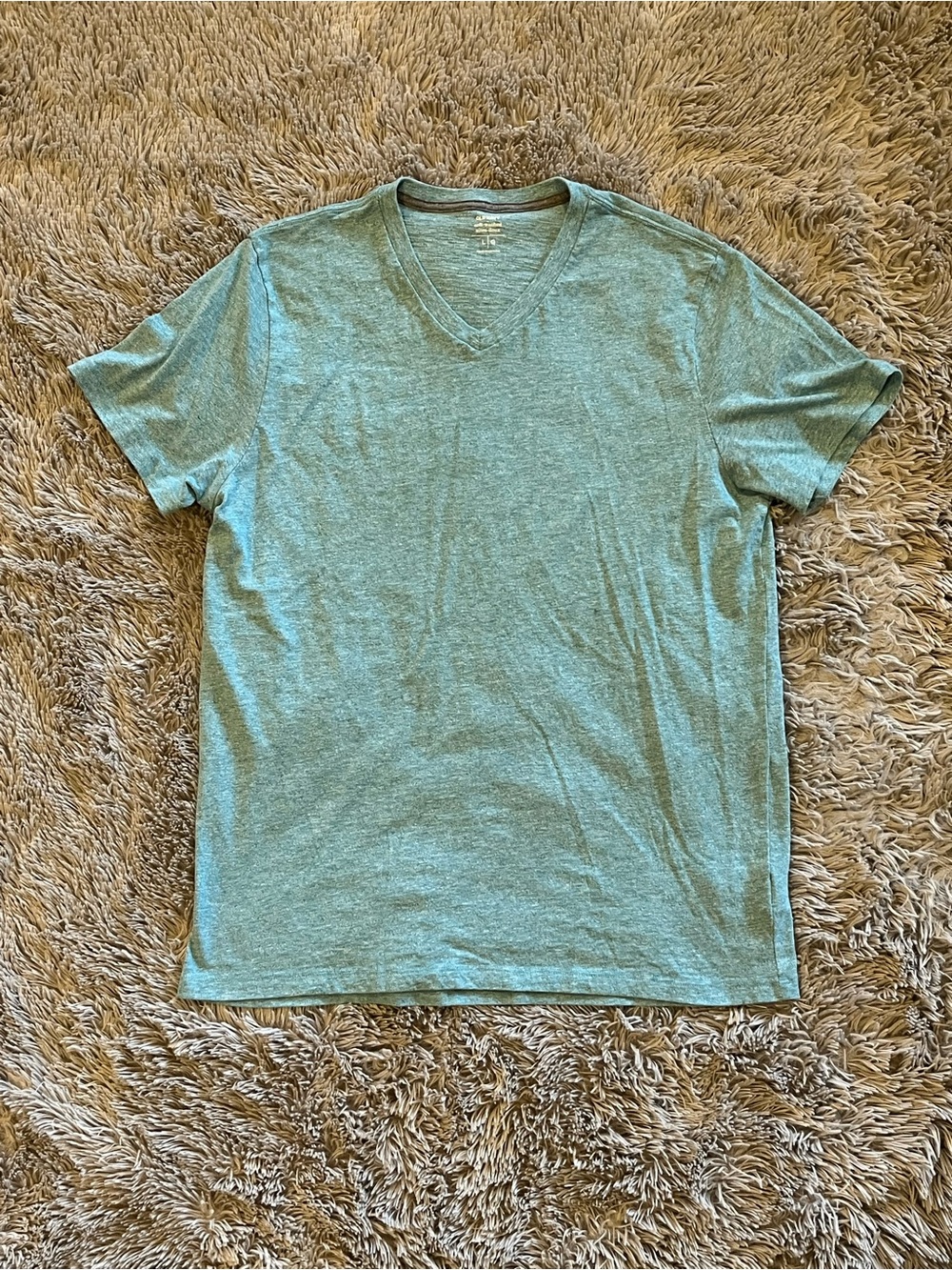 Old Navy Men's V-Neck Short Sleeve T-Shirt - Mint